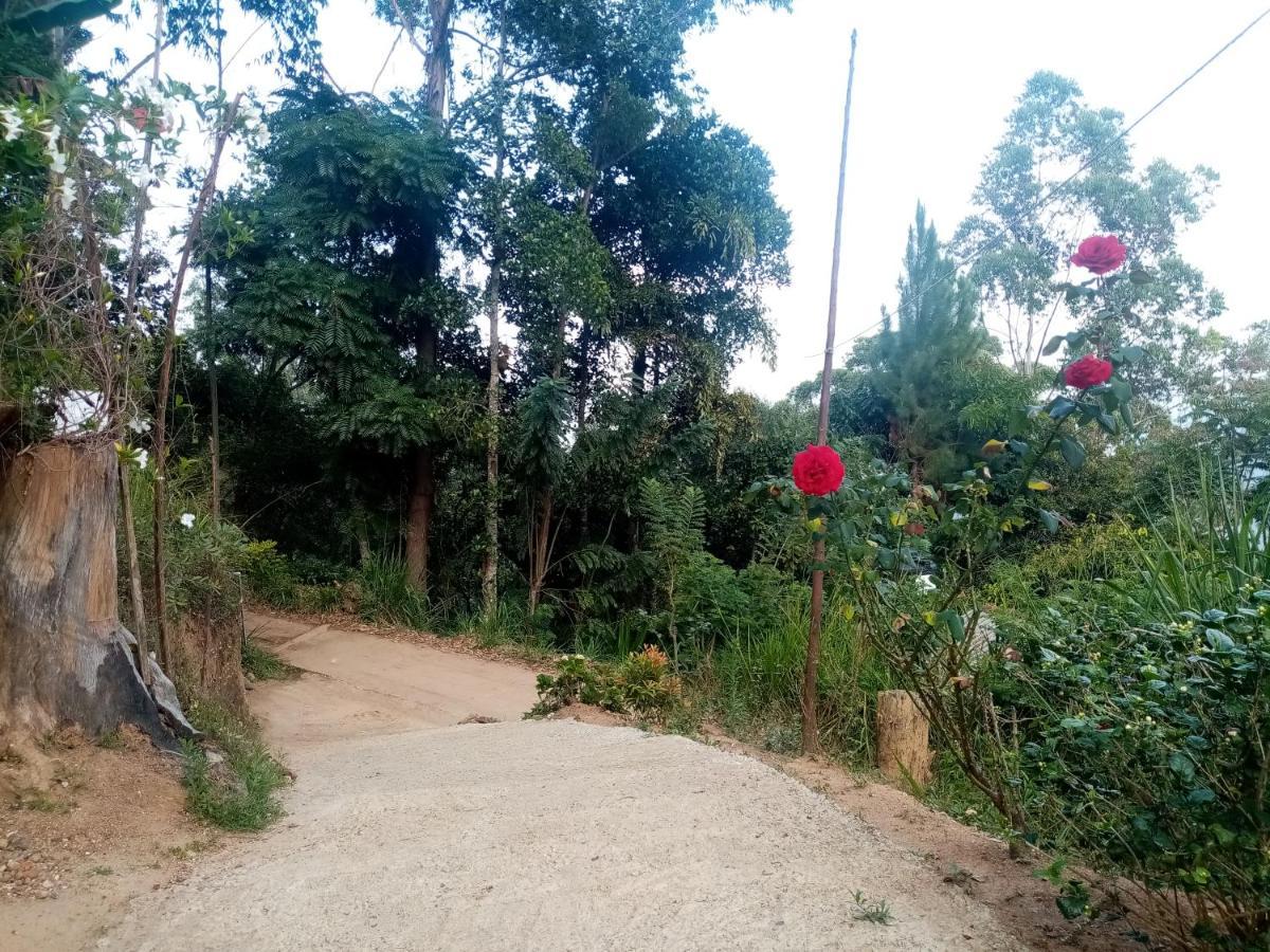 אלה Apurvi Homestay מראה חיצוני תמונה